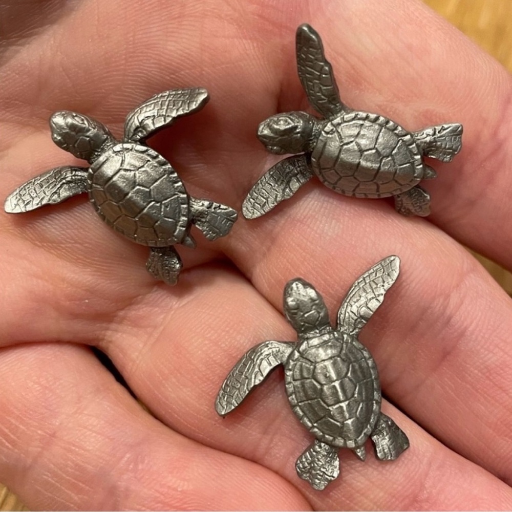 Metal Turtle Magnet Set - Picture 10 of 13